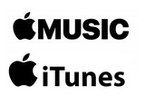 link logo apple